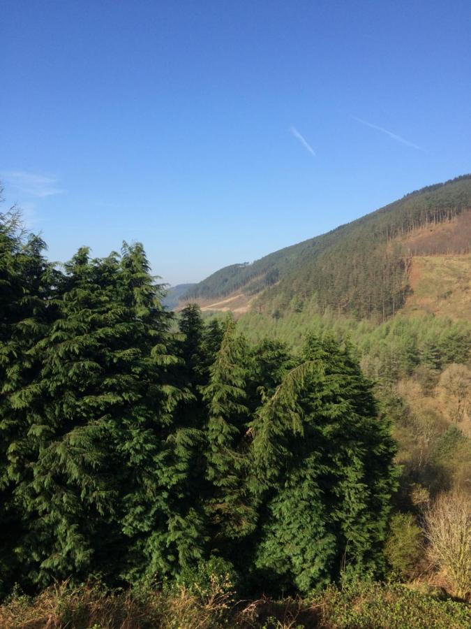 Rowan House Bed Breakfast Main House & Self Contained Self Catering Apartment Cymmer Exterior photo