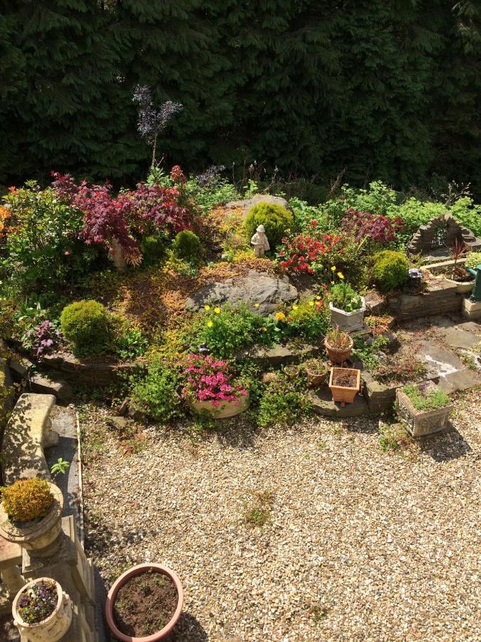 Rowan House Bed Breakfast Main House & Self Contained Self Catering Apartment Cymmer Exterior photo